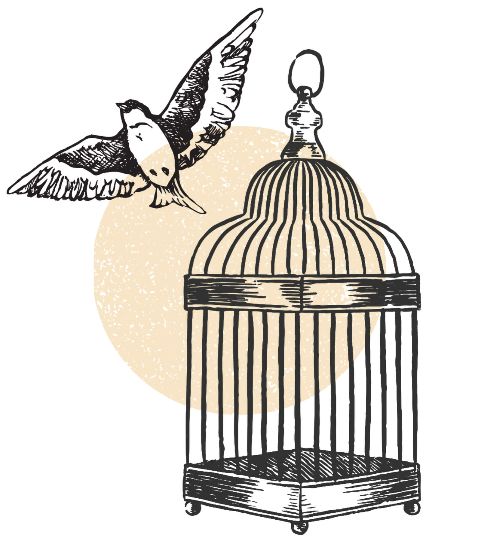 A hand-drawn illustration depicts a bird flying out of an open cage with a circular yellow background element.